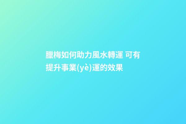 臘梅如何助力風水轉運 可有提升事業(yè)運的效果